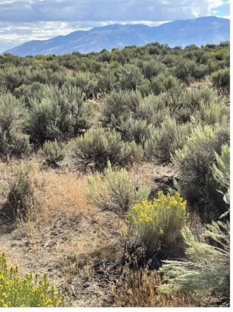 Land In Nevada 40.19 Acres Of Prime Ranch land