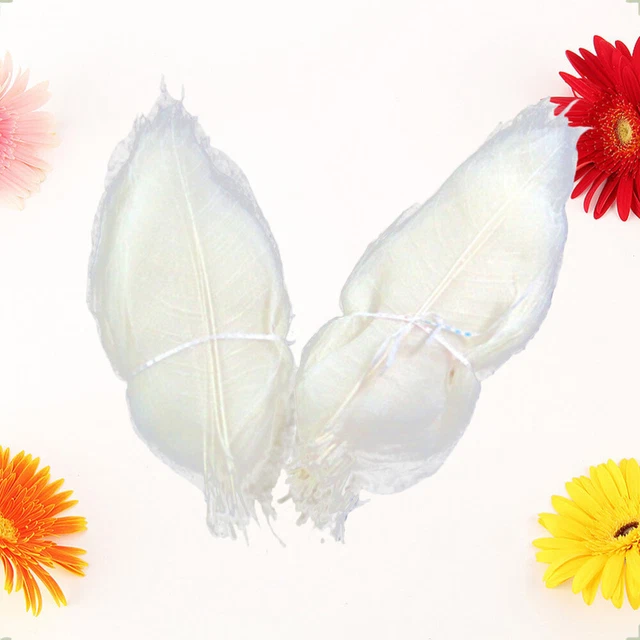 100 piezas Hojas de esqueleto natural de bambú Hojas de esqueleto Hágalo usted mismo Blanco
