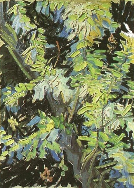 Dream-art Oil painting Vincent Van Gogh - Branches d'acacia fleuries hand paint