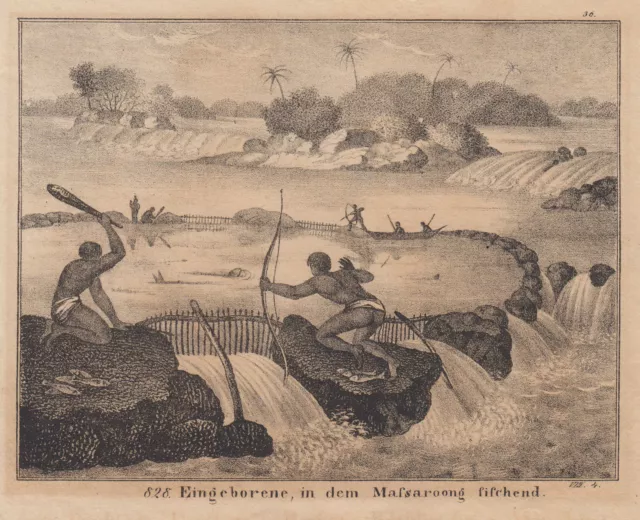 Papua-Nueva Ethnologie Original Litografía 1840