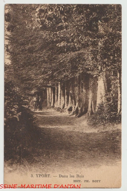 CPA 76 - In the Woods (Yport) Postcard