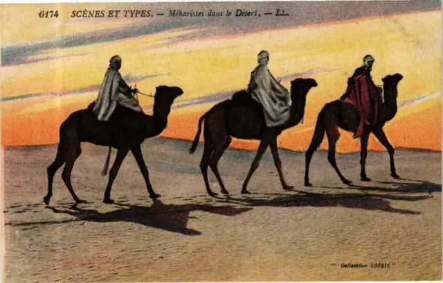 CPA AK Algérie-Scenes et Types-Méharistes dans le Désert (236913)