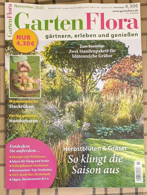 GARTEN FLORA NOVEMBER 2023 So klingt die Saison aus Steckrüben