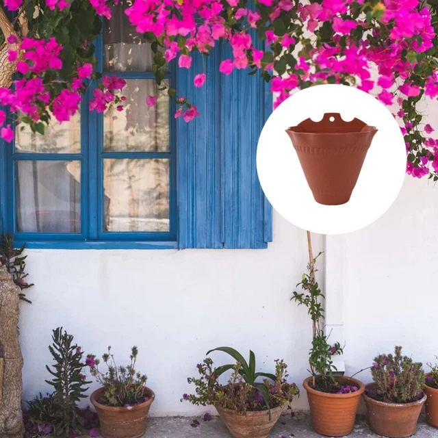Planteur De Cactus Pot De Fleur Suspendu Au Mur Support Mural Végétal Jardinière