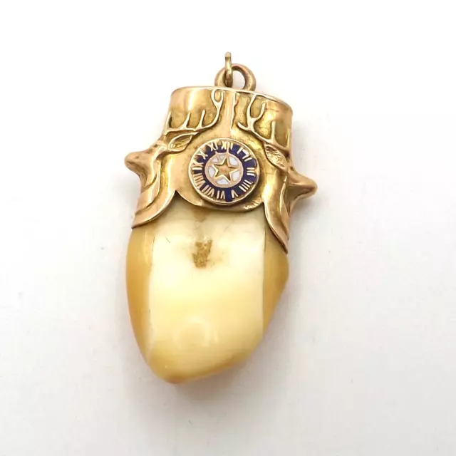 Antique Elks Tooth Charm Fob 10k Gold Enamel BPOE Large Double Busts 1912