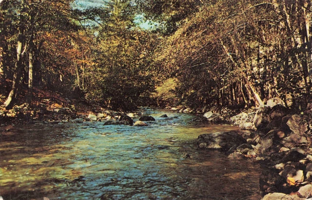 Postcard Mountain Stream Pfeiffer Big Sur State Park California CA