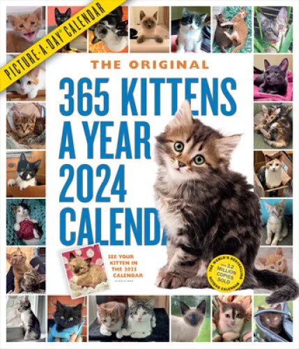 365-kittens-a-year-picture-a-day-wall-calendar-2024-absolutely