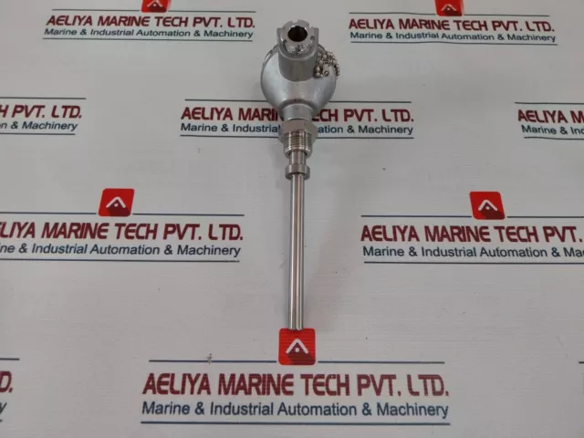 Pascal MTC-D Thermo Couple Element K Class 0.75 6LF46-228