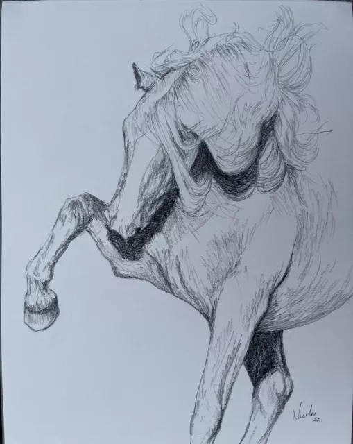 original Andalusian Horse pencil signed drawing 11x14 Graphite Sketch Horses Art