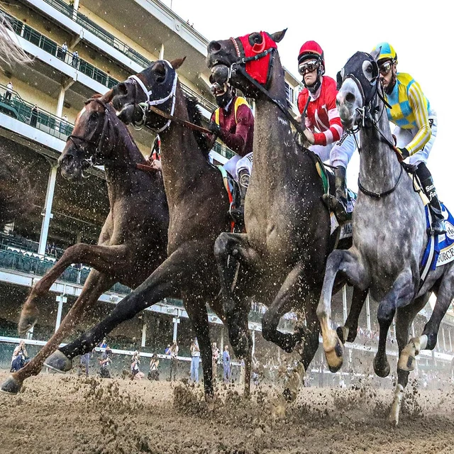Turf Method METHODE DE TURF : TOP SYSTEMES de Michel MARTIN Trot Plat Obstacle ...