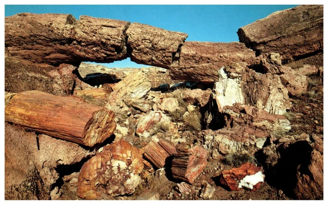 Arch Of Petrified Wood Near Holbrook Arizona Route 66 Postcard B4