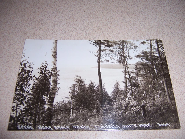 1930s SCENE NEAR EAGLE TOWER, PENINSULA STATE PARK WI. RPPC POSTCARD