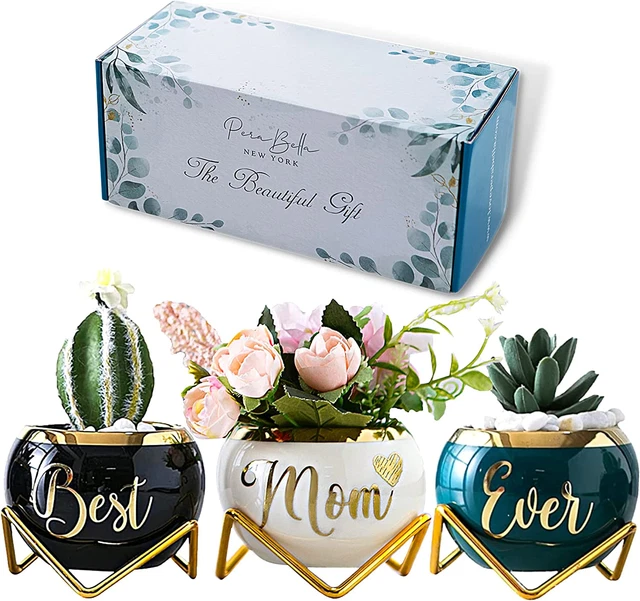 Mothers Day Mom Gifts Daughter Son Unique Best Mom Ever Succulent Pots 3 PCS