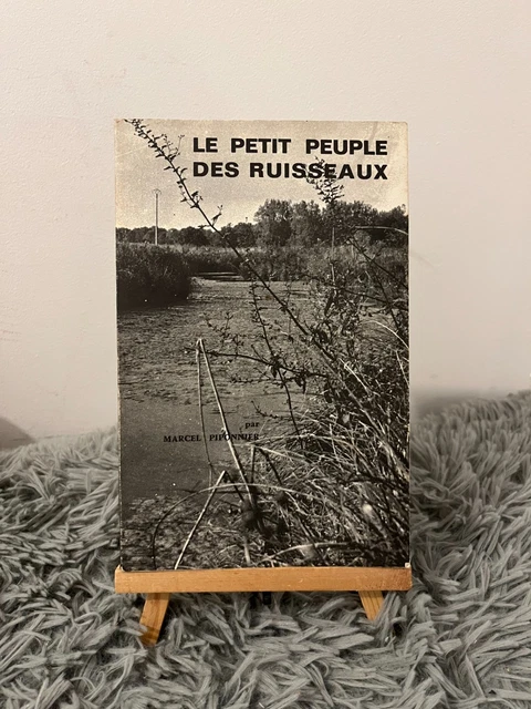 La Bergeronnette des ruisseaux, l'élégante randonneuse
