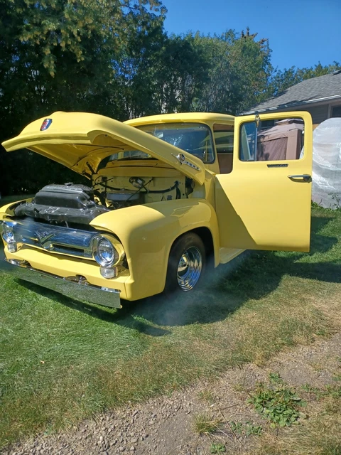 Ford: F-100