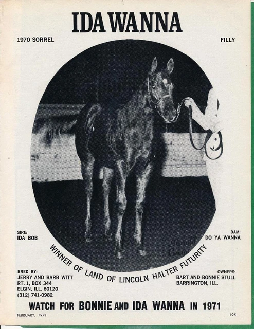 Magazine Ad - 1971 - Witt Horse Farm, Elgin, IL - IDA WANNA