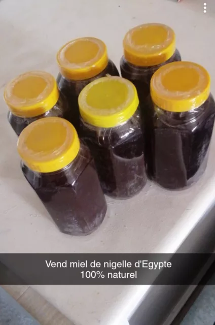 Miel de Nigelle - pot de 250g - (lot de 8 pots) - Grossiste Orient