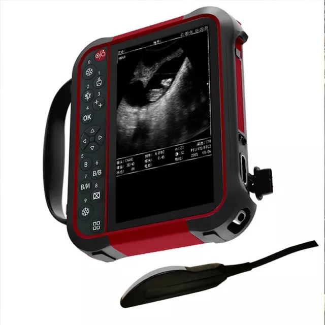 Waterproof Cow Ultrasound Scanner 8.0"HD Display with Rectal Convex Array Probe