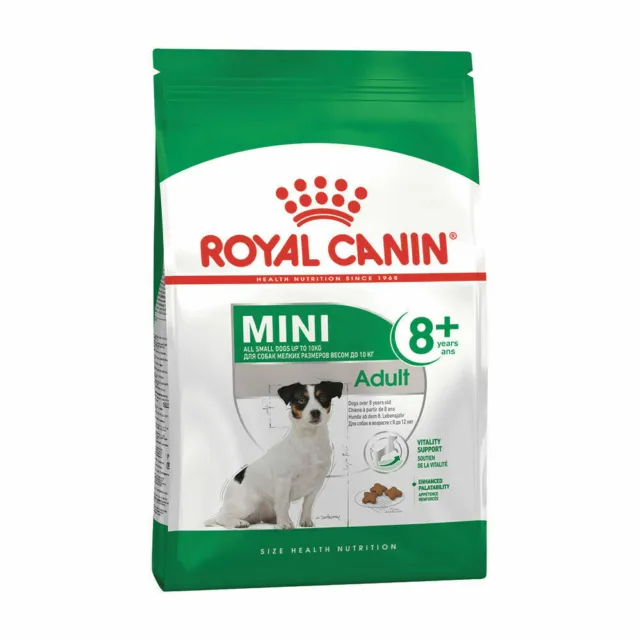 Royal Canin SHN Mini Adult 8+ Crocchette per Cani taglia piccola croccantini