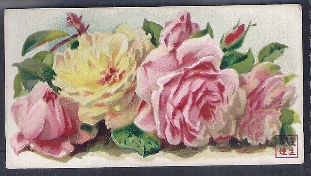 American Cigarette Co. (China)-Flowers-#34- Scarce Card!!!