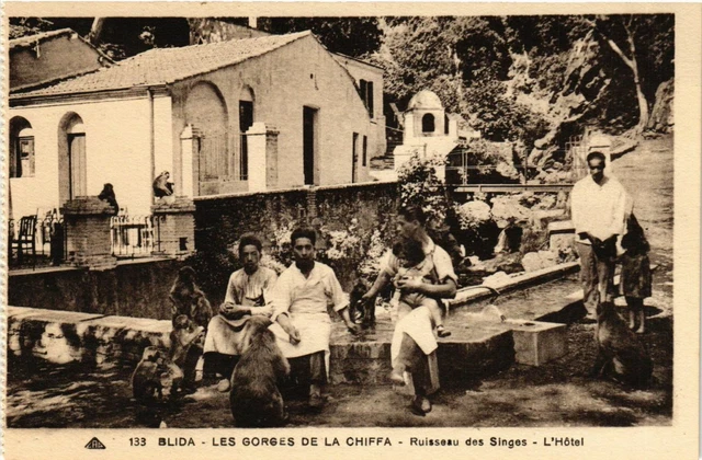 CPA AK Blida Les Gorges de la Chiffa Creek of the Monkeys Hotel ALGERIA (832205)