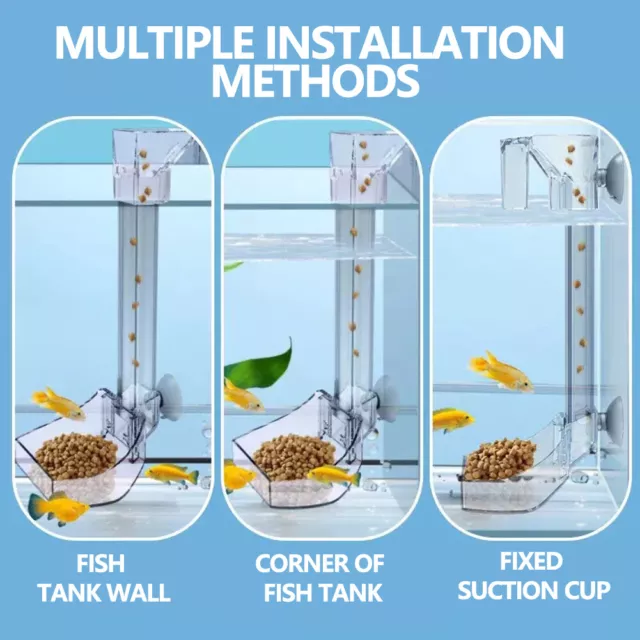 Convenient Clean Feeding Ring And Tube Set Stylish Tray For Aquariums Fish