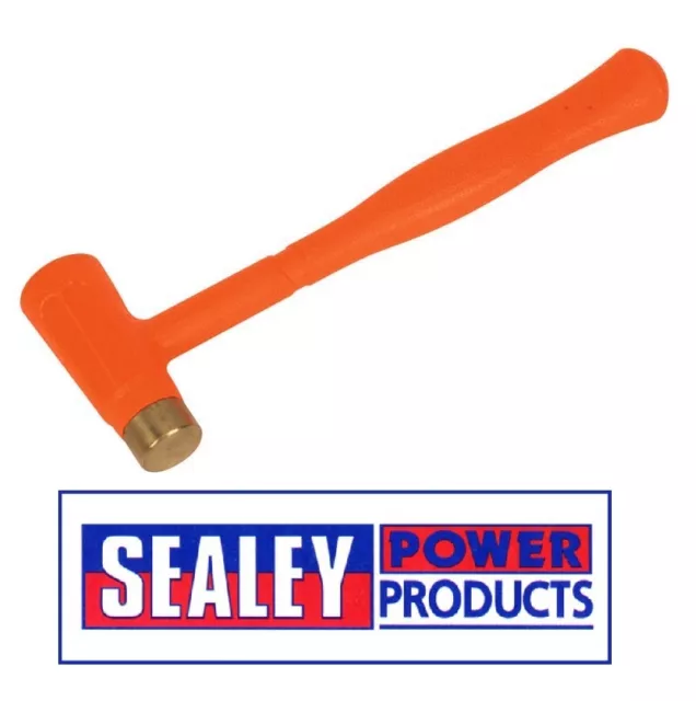 Sealey Face en Laiton Marteau Coup Mort 0.7kg BFH24