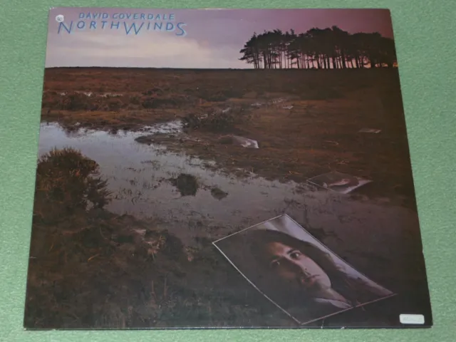 DAVID COVERDALE NORTHWINDS 1st UK press LP N/M STUNNING !! TPS 3513 Deep  Purple £30.00 PicClick UK