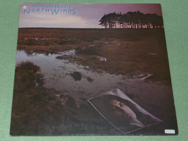 DAVID COVERDALE NORTHWINDS 1st UK press LP N/M STUNNING !! TPS 3513 Deep  Purple £30.00 PicClick UK