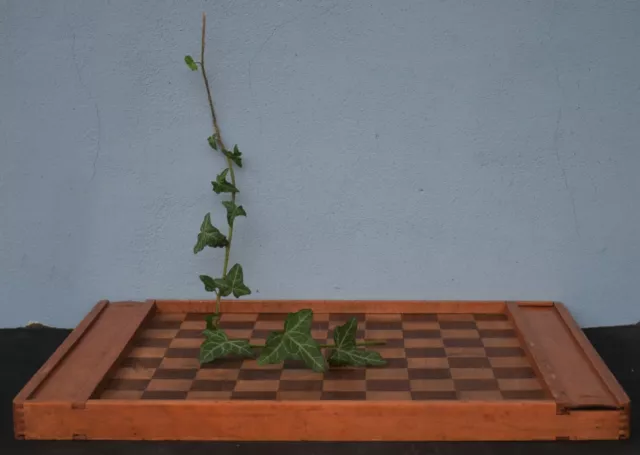 Antique 19th century French Checkers Board Includes Wooden Checkers in original