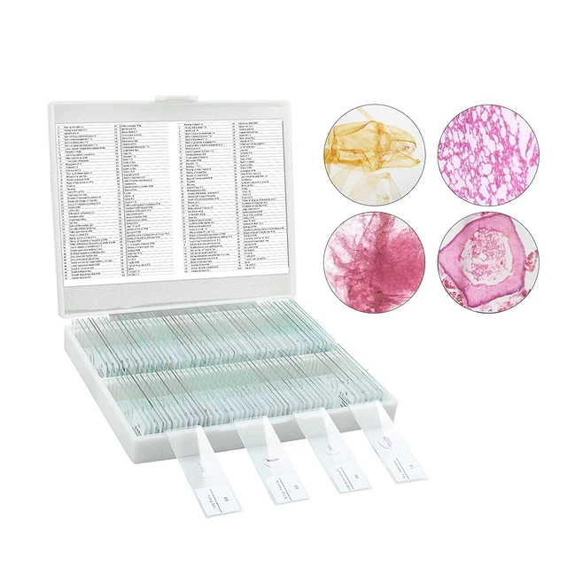Microscope Slides, 100 Pcs Prepared Microscope Slides with Specimens for Kids Ho