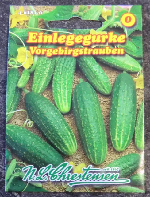 Einlegegurke - Vorgebirgstraube - Samen für ca. 30 Pflanzen