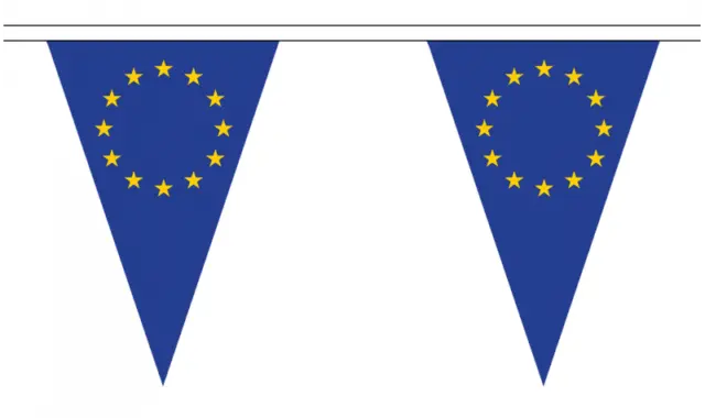 European Union EU 20M Triangle Flag Bunting - Large 54 Flags - Triangular