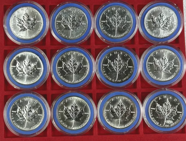 Kanada 12 Unzen Silber Maple Leaf 1989 - 2000 komplett inkl Feuerwerk, in Kapsel