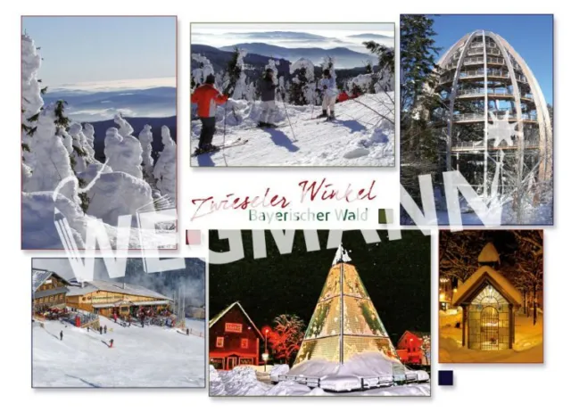 Postkarte und Ansichtskarte Zwieseler Winkel Winter Nr. 50 - 50er Set,