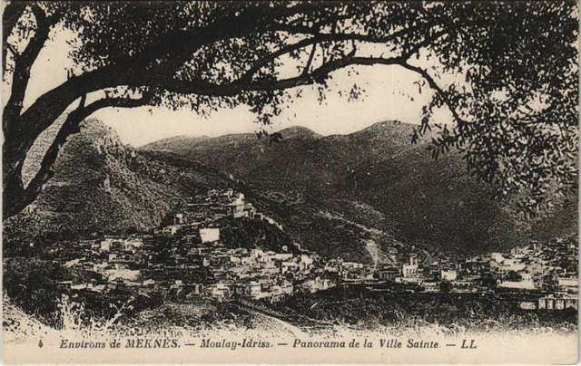 CPA AK MAROC MEKNES Panorama of the Holy City (10757)