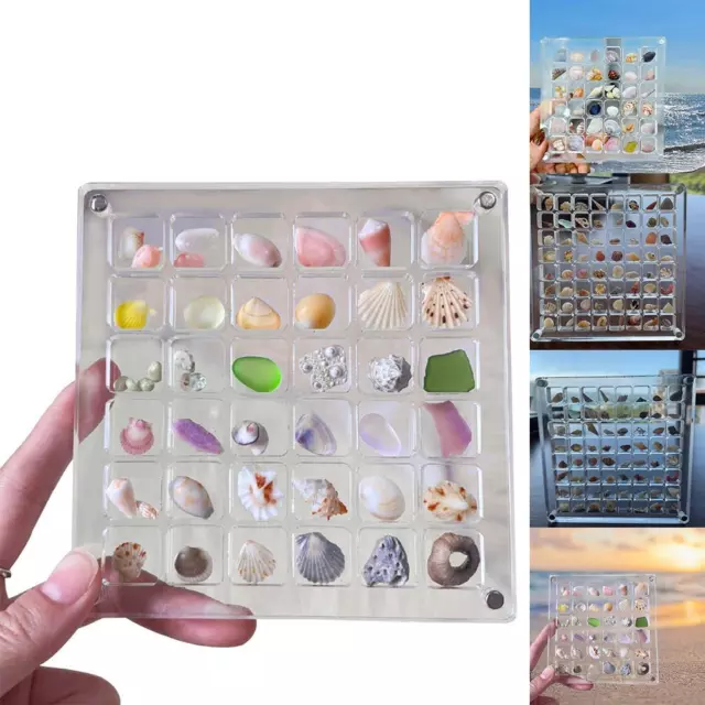 1x Acrylic Magnetic Seashell Display Box Clear Gemstone Beads Storage Boxes UK