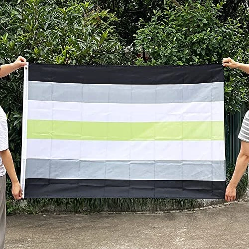 Agender Pride Flag 3x5 Ft Double Sided Metal Brass Grommets Durable Flag For