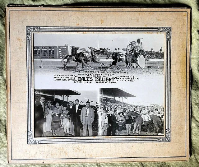 Vintage 1957 HORSE RACING PHOTO TROPICAL PARK RACE TRACK original DALE'S DELIGHT