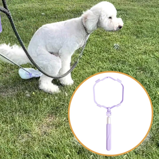 FOLDABLE PET POOP Scooper Extendable Yard No Bending Clean up ...