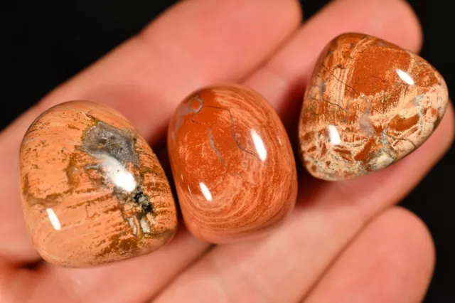 3 *BRECCIATED JASPER* TUMBLED STONES 60g Poppy Healing Crystals, Happiness