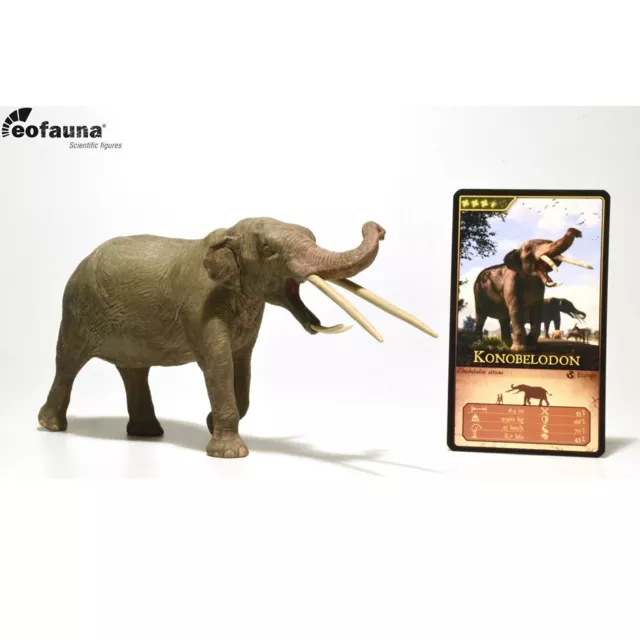 Deinotherium / Steppe Mammoth ( 1:40 ), Collecta / Eofauna, RobinGoodfellow_(m)