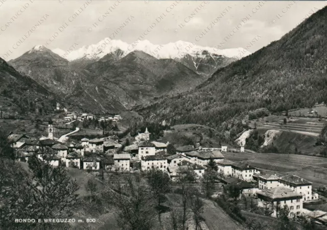 1955 BONDO e BREGUZZO Panorama montagna ghiacciaio vallata Trento Cartolina