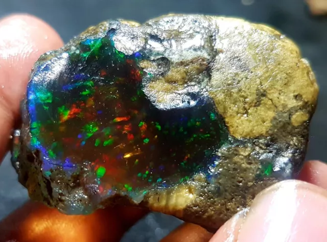 BIG Natural Top Quality Ethiopian Opal Rainbow Fire 237 Cts Loose Gemstone #RD(3