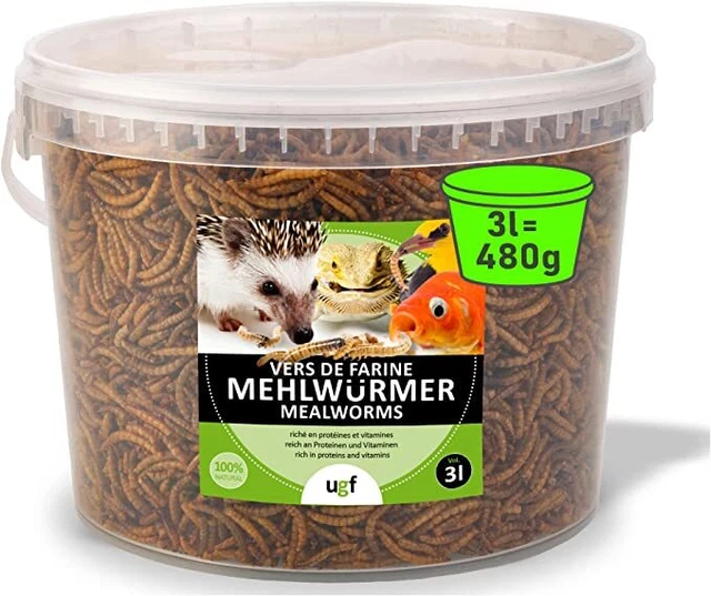 UGF – Les vers de Farine Premium