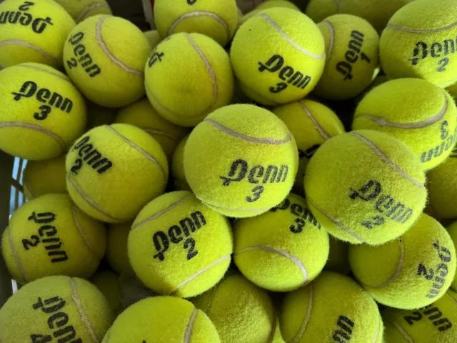 50 Used ATP Penn Tennis Balls Good for training or for dogs US Ship ONLY