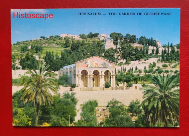 Postcard Unused The Garden of Gethsemane Jerusalem Israel