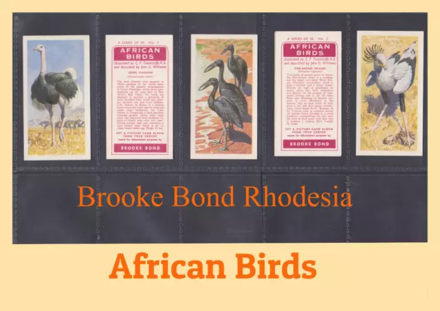 African Birds (Brooke Bond 1965 Rhodesia) Select A Card