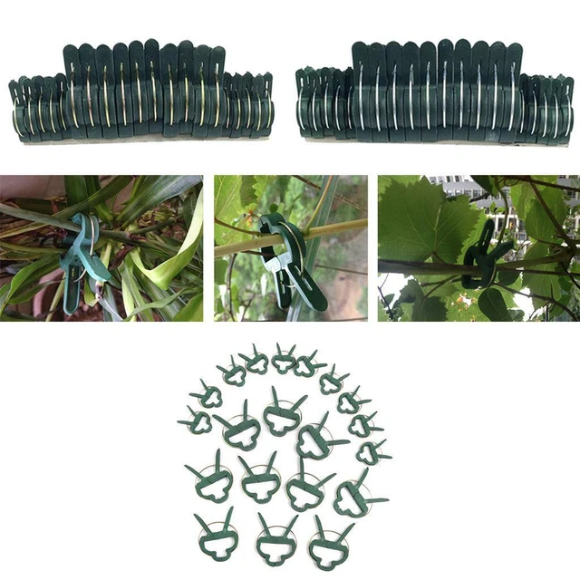 REUSABLE SPRING LOADED spring loaded plant clips garden ties £8.04
