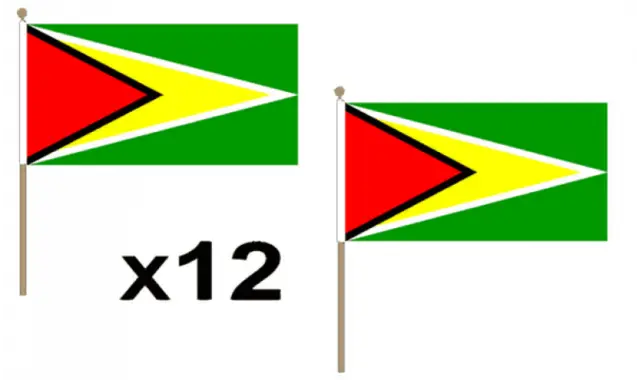Pack Of 12 Guyana Hand Flags 9 x 6" - Party Conferences Office Display
